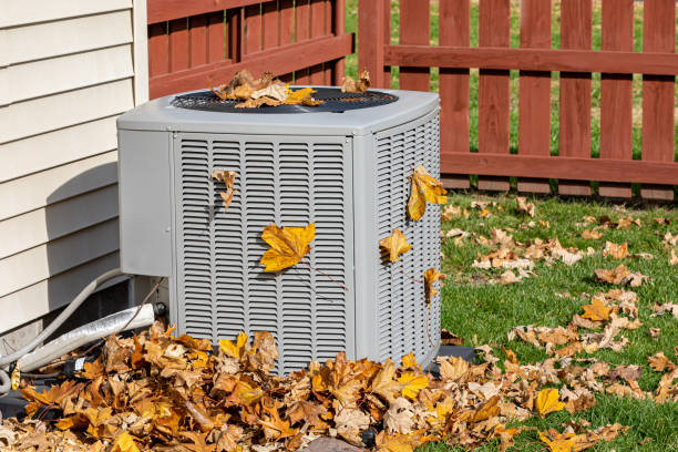 Best HVAC Repair Near Me  in Gold Canyon, AZ